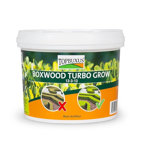 TOPBUXUS BOXWOOD TURBO GROW – PROFESSIONAL BOXWOOD FERTILIZER – 10 LBS. FOR 1,000 SQ. FT.