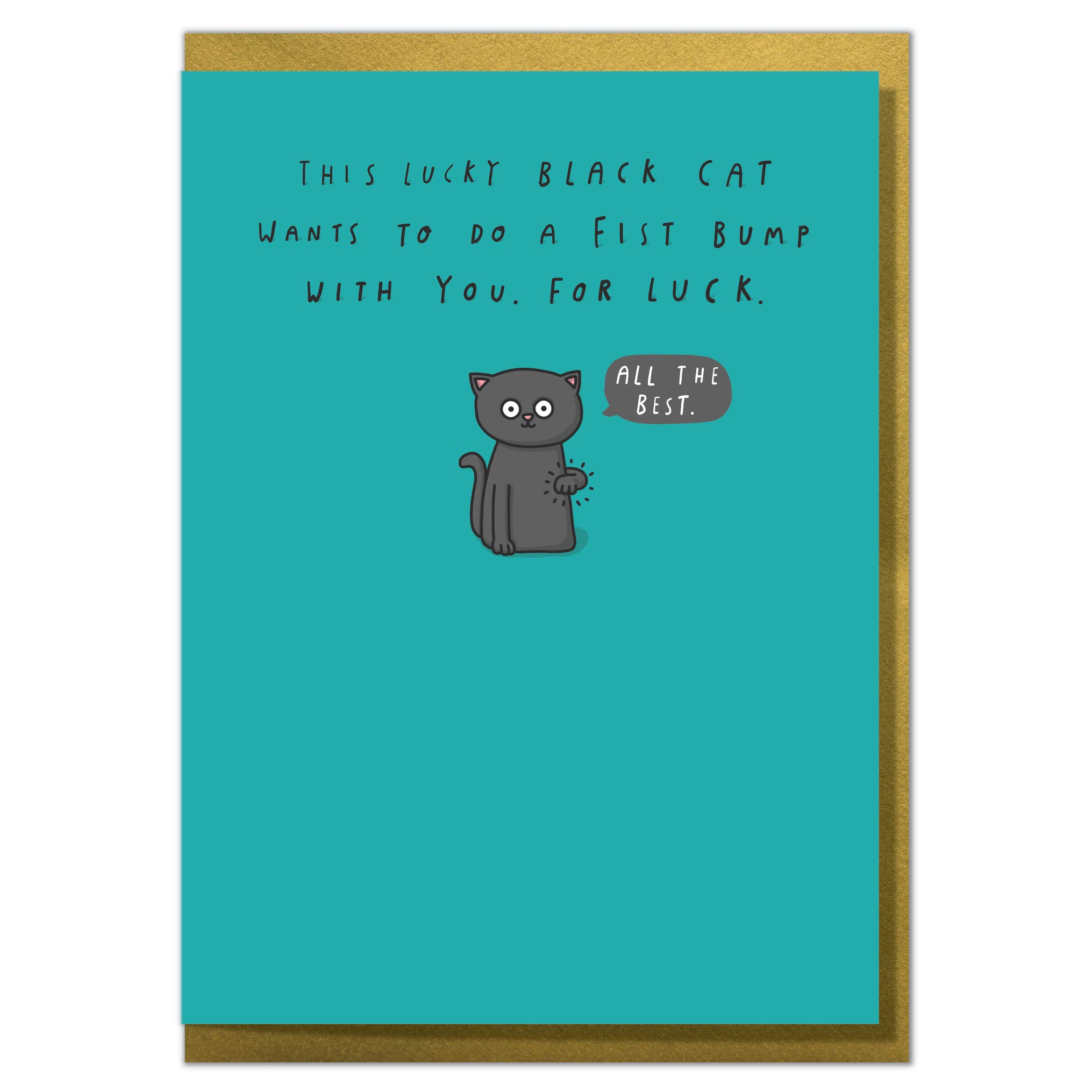 This Lucky Black Cat Wants To Do A Fist Bump With You. For Luck. fun Good Luck Card
