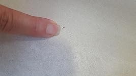 Review Image by RAM RAM