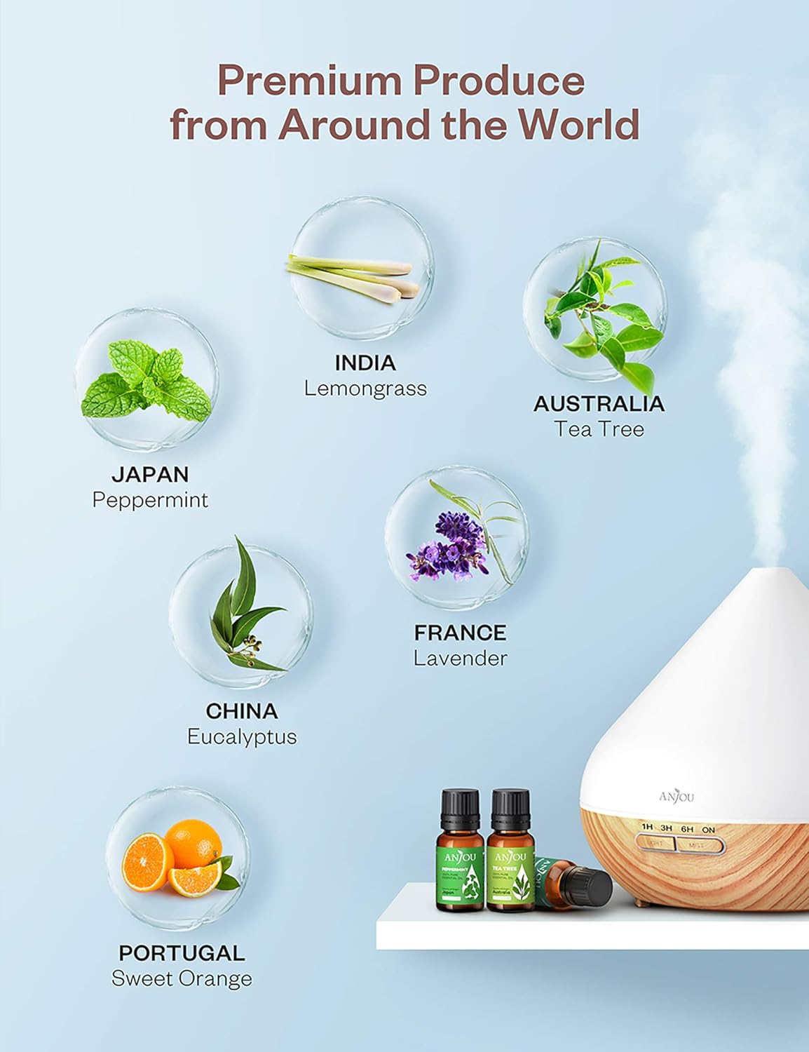 Essential Oils Set - Anjou Aromatherapy Essential Oil Top 6 10ml Pure & Therapeutic Grade for Diffuser Massage Yoga Auto Office: Health & Personal Care