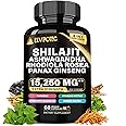 ELVPOTEC 9000MG Pure Himalayan Shilajit, 2000MG Ashwagandha Energy Booster, 1000MG Rhodiola Rosea, 1500MG Panax Ginseng, 500MG Turmeric, 500MG Ginkgo, 250MG Stinging Nettle, 500MG Cordyceps Mushroom