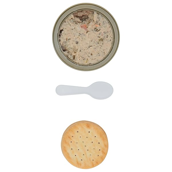 BUMBLE BEE SNACK ON THE RUN RANCH TUNA SALAD WITH CRACKERS KIT, READY TO EAT SPOON INCLUDED WILD CAUGHT TUNA SHELF STABLE & CONVENIENT PROTEIN SNACK- 3.5 OZ
