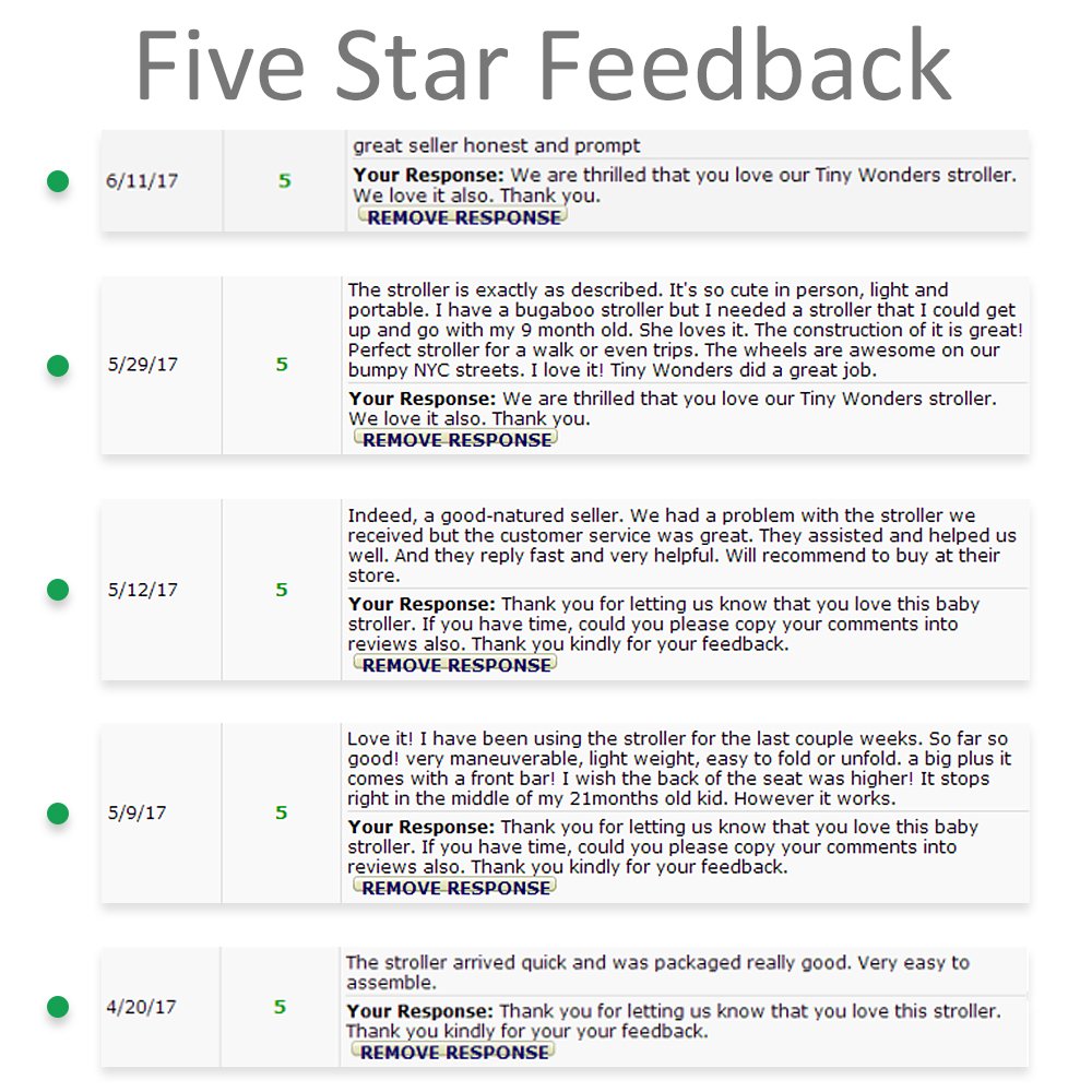 tiny wonders baby stroller