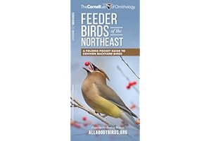 Feeder Birds of the Northeast: A Folding Pocket Guide to Common Backyard Birds
