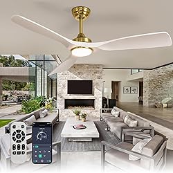 BvenuBigLite Ceiling Fan with Light Modern: 52 Inch
