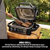 Ninja Woodfire Electric BBQ Grill & Smoker 7 in 1 Outdoor Grill Air Fryer view 4