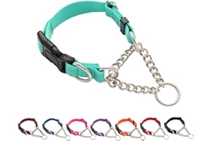 Yunleparks Martingale Dog Collar with Quick Release Buckle Steel Chain No Pull Training Reflective Collar for Medium Large Dogs(Teal, Medium)