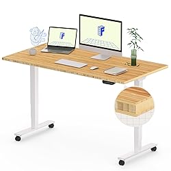 FLEXISPOT E6 Bamboo Dual Motor 3 Stages Standing
