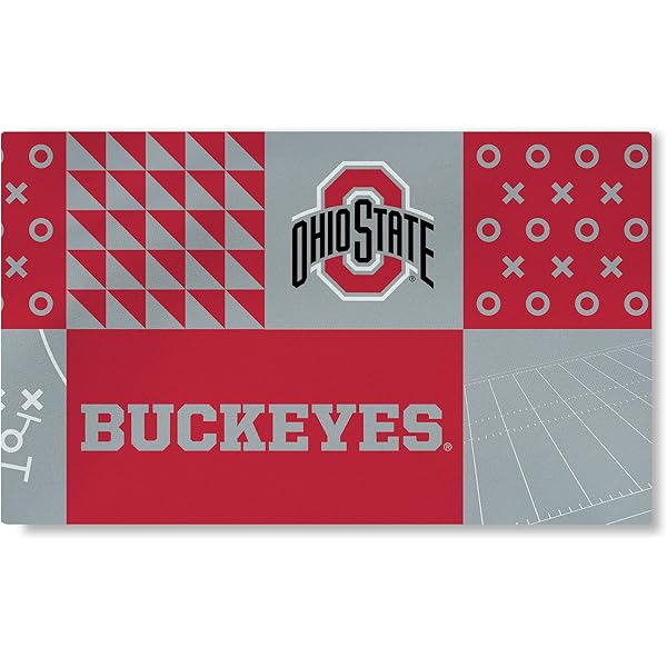Amazon.com: Ohio State Rug - Area Rugs / Rugs, Pads & Protectors
