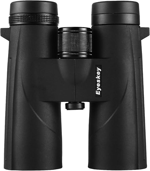 best value 10x42 binoculars