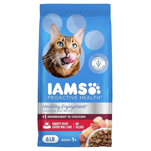 IAMS HEALTHY ENJOYMENT DRY CAT FOOD CHICKEN &...
