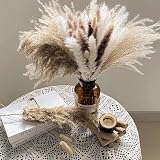 Shakeel Natural Dried Pampas Grass 65Pcs Fluffy Bouquet UK Brand view 5