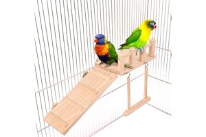ADNIKIA Bird Perches Cage Toys Bird Wooden Play Gyms Stands with Climbing Ladder, Parrot Play Stand and Bird Swing Conure for Green cheeks, Baby Lovebird, Chinchilla, Hamster, Bird Cage Chewing Toys Sets