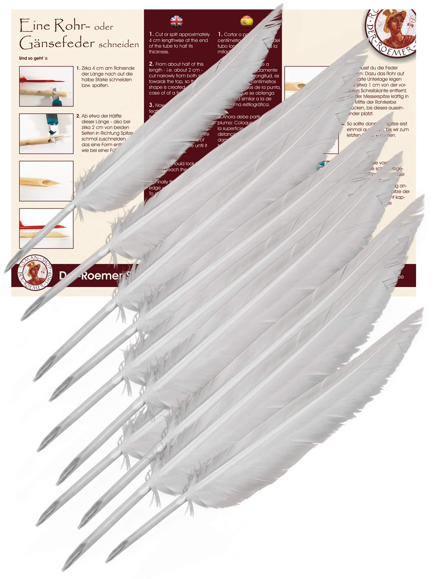 Forum Traiani Writing Nibs, Pack of 10, Calligraphy Nib, Feather Quill to Cut, Calligraphy Pen, Goose Quill Set, Writing Tube Goose Feathers