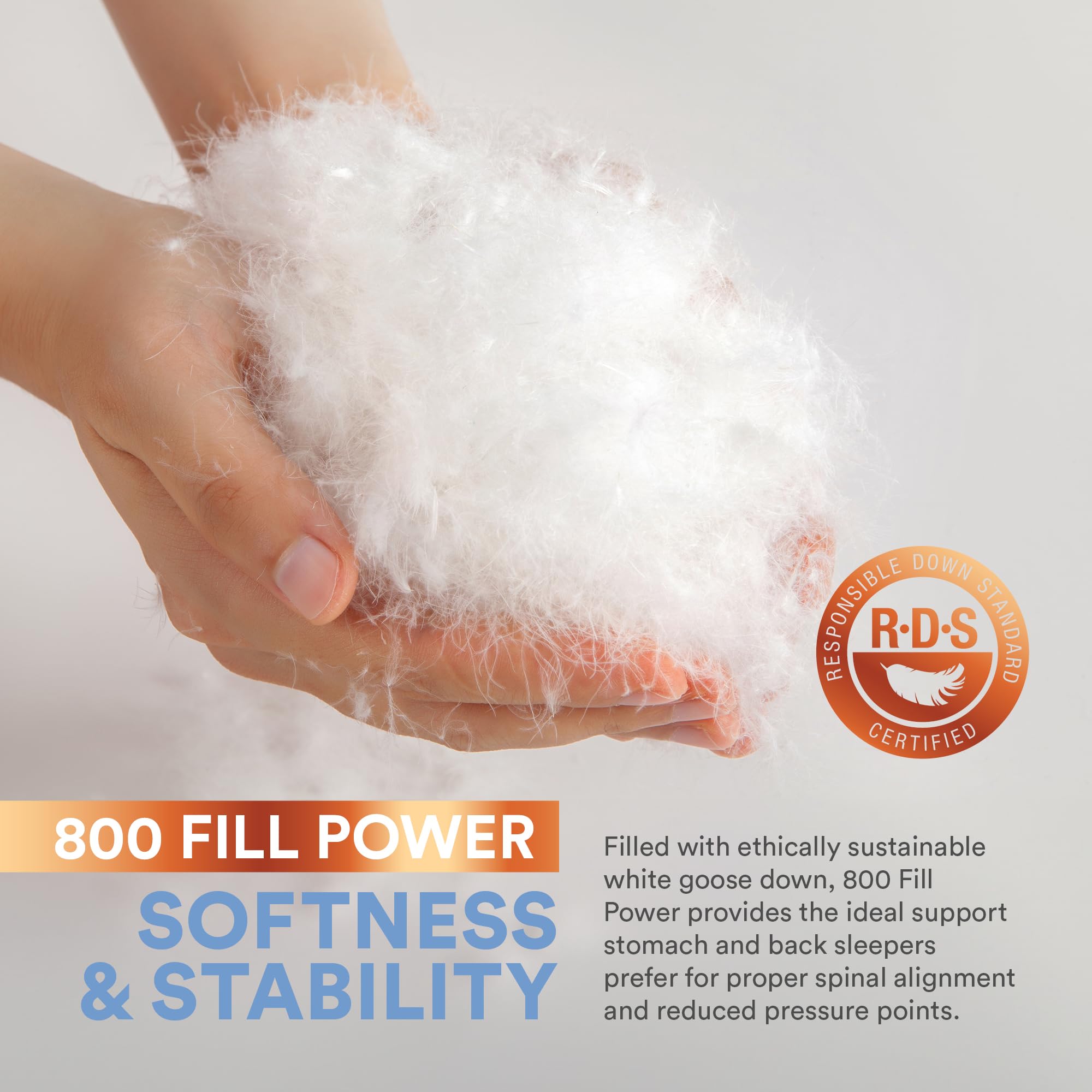 Continental Bedding 100 Luxury Down Pillow Siberian 800 FP Firm