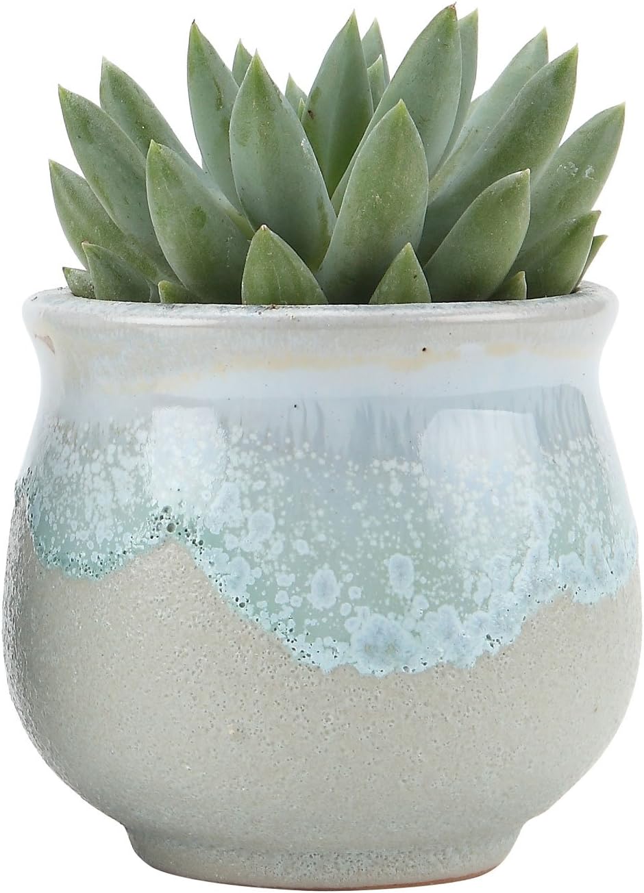 T4U 6.5CM Ceramic Flowing glaze solid Gray Base Serial Open Mouth Shape Succulent Plant Pot/Cactus Plant Pot Flower Pot/Container/Planter