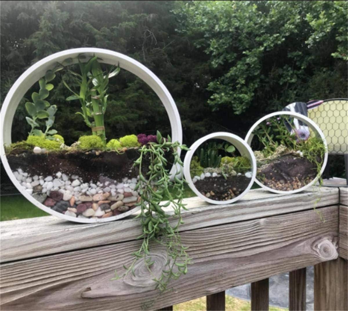 3 set of Metal Wall Hanging Planter,2-in-1 Portable Creative Flower Pots +Transparent Terrarium,Balcony Stair Plant Holder Iron Vase Flowers Hanger Glass Vertical Container with Detachable Screw - Image 3