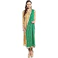 DUPATTA BAZAAR Woman's Embroidered Chiffon Dupatta Scarf Shawl Wrap Soft