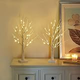 Eambrite Set of 2 Small Birch Twig Tree Lights 60cm Battery Operated view 9