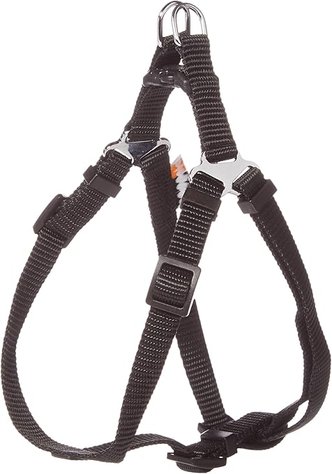 llewellin setter breeders near me