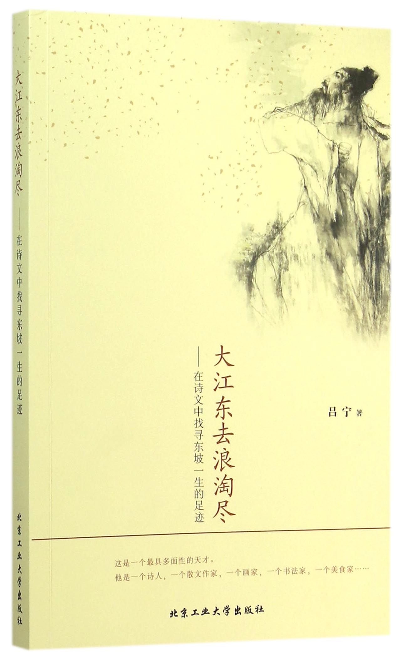 大江东去浪淘尽 在诗文中找寻东坡一生的足迹 吕宁著 Amazon Com Books