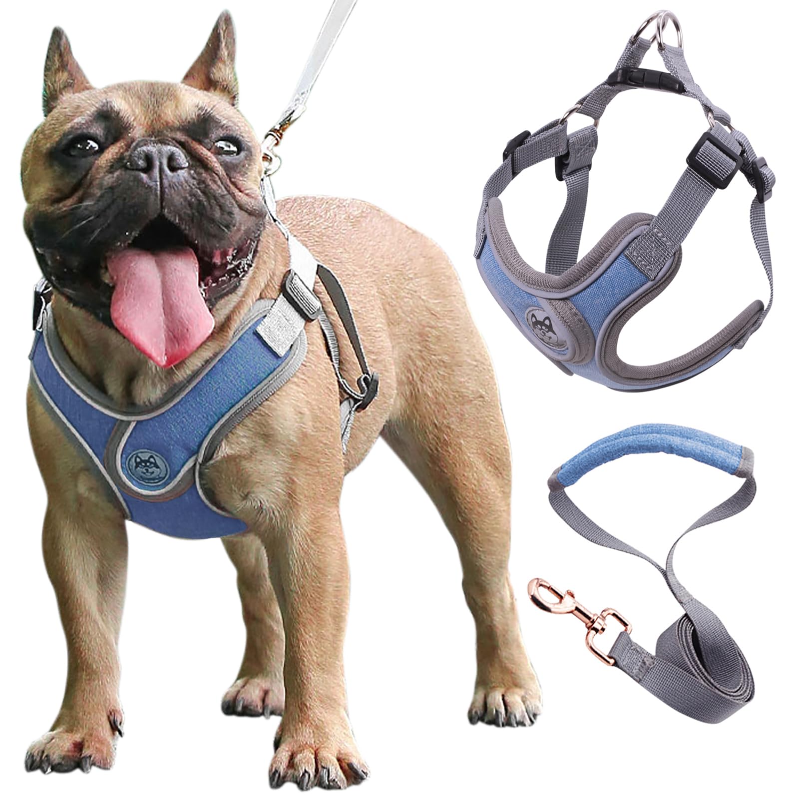 Wocharm Dogs Breathable Harness with Leash Adjustable Outdoor Walking Pet Puppy Vest （M,Blue）