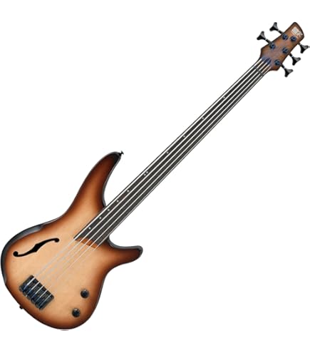 Amazon.com: Ibanez SRH500F Fretless Bass Guitar - Natural