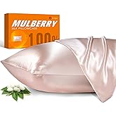 100% Mulberry Silk Pillowcase for Hair and Skin, 22 Momme Pure Natural Silk Pillow Case Both Sided with Zipper, Pillow Cover for Women Mom Men (Light Pink, Queen 20''×30'', 1 Pack)