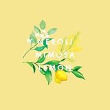 Neom Essential Oil Blend Happiness 10ml Scent To Make You Happy view 6