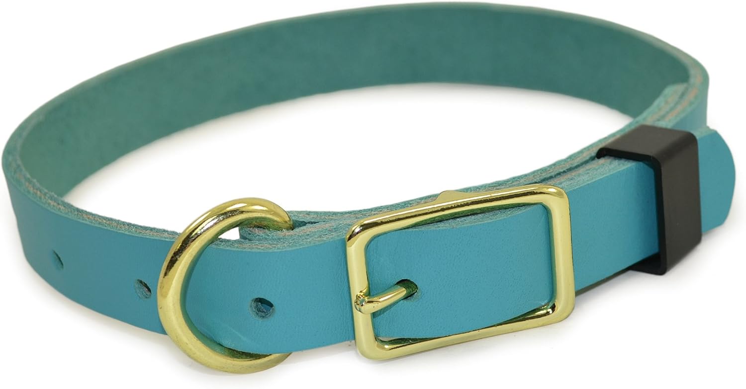 akc black lab puppies for sale near me