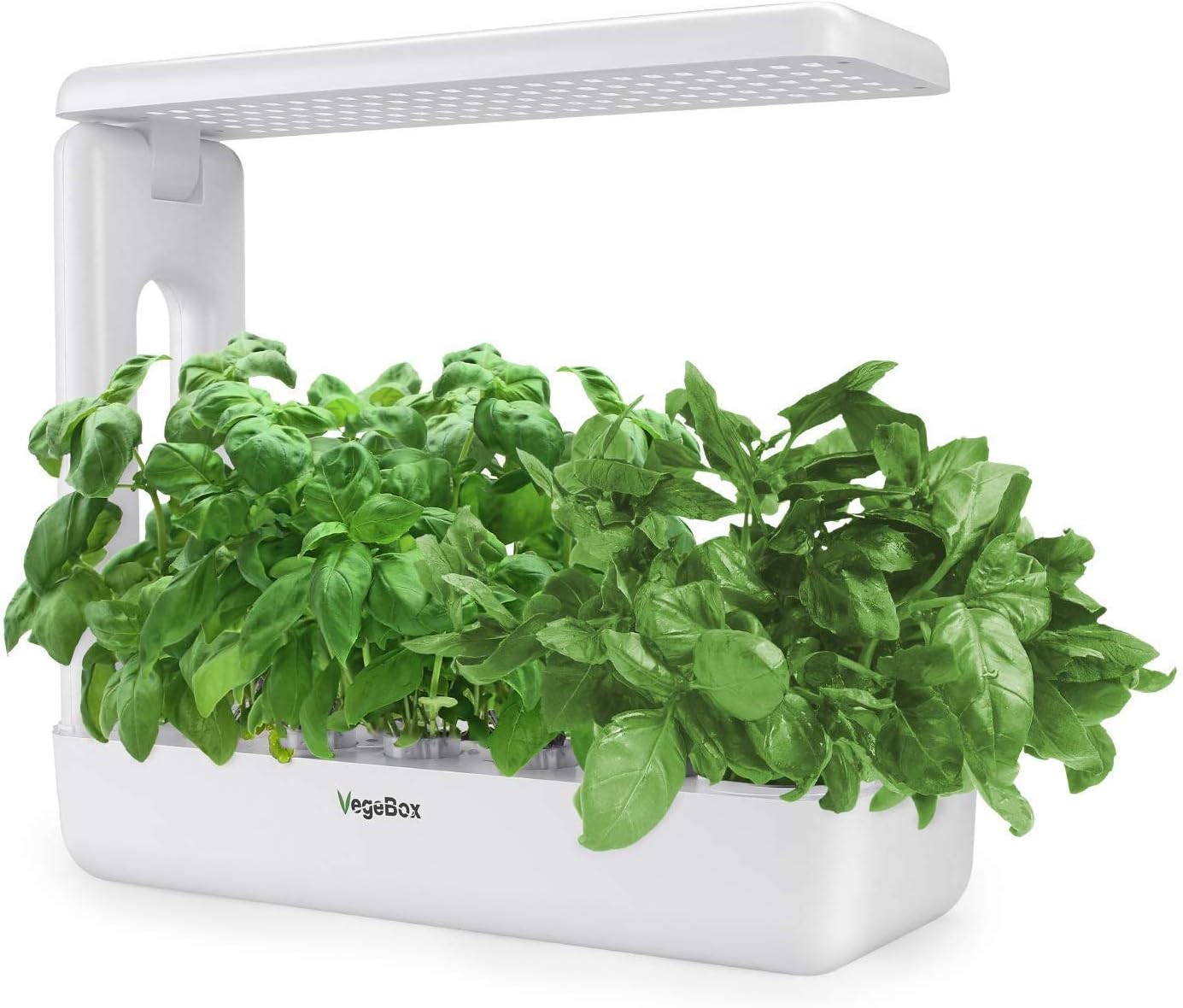Vegebox Sprout Led Indoor Hydroponics Growing System Smart Led Lighting For Indoor Kitchen Herb Garden Amazon Co Uk Kitchen Home