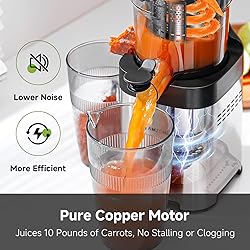 AMZCHEF Cold Press Juicer, Juicers Machines
