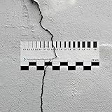 Expert Accessories Set of 2 | Transparent Ruler