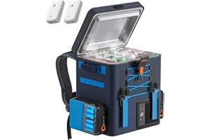 LiTHELi Frozen Pack 12V Car Refrigerator & Portable Electric Cooler, 20L/21QT with 2 U20 Batteries, -4~68℉ Travel Fridge Freezer for Camping, Road Trips, RV, Boat & Beach (Backpack Design)