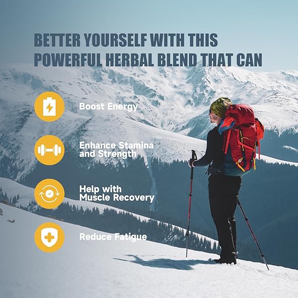 SHILAJIT GUMMIES | PURE HIMALAYAN SHILAJIT GUMMIES GOLD | ASHWAGANDHA, GOKSHURA | FULVIC ACID & 85+ TRACE MINERALS FOR MEN, WOMEN | NON-GMO | LAB TESTED | NO ADDED SUGAR I 60 GUMMY