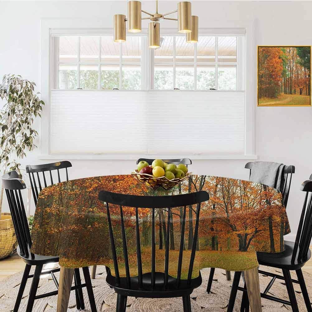 shirlyhome Fall Circular Table Cover Cloudy Overcast Day in September Shrubs Pines Sidewalk in The Park Forest Fitted for Circular Table Orange Green Brown (Diameter 36")