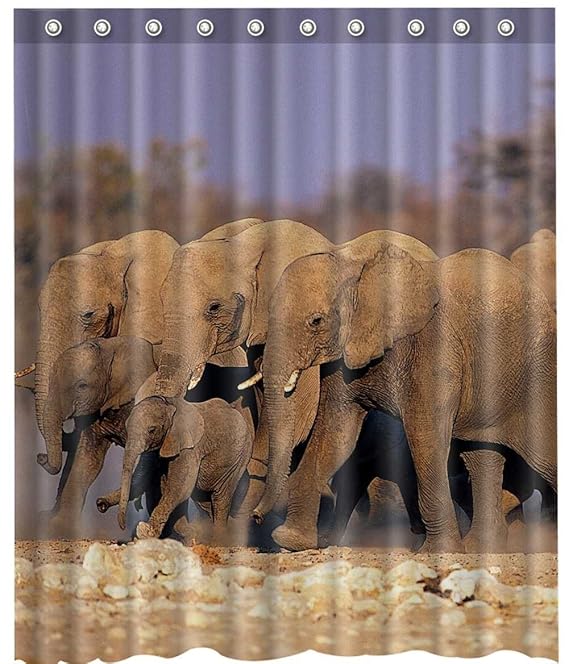 Amazon Com Happy Elephant Shower Curtain Home Kitchen
