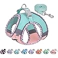 AIITLE Teacup Puppy Harness with Leash - Adjustable Soft Vest with Magic Velcro & Reflective Safety Strips, Easy-Put-On for Poodles, Pomeranians - Gym, Hiking, Travel (Turquoise-Pink, S)