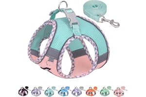 AIITLE No Pull Dog Harness and Leash Set, Step in Adjustable Dog Harness with Padded Vest for Spring, Reflective Adjustable Pet Harness, Easy to Put on Small Dogs Turquoise-Pink S