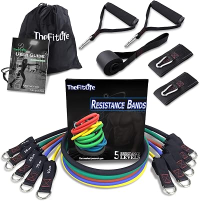 TheFitLife Resistance Bands Set 110lbs with Handles Door Anchor Ankle Straps