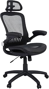 Office Chair, Ergonomic Computer Desk Chair Executive Mesh Office Chair High Back Swivel Chair with Lumbar Support(Black)