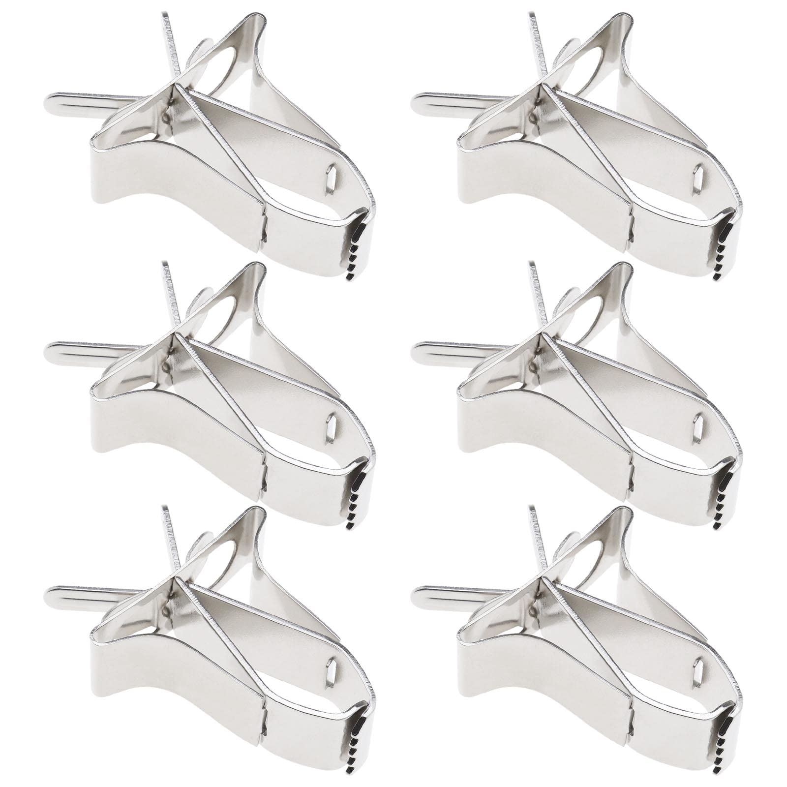 Create idea 6pcs Bird Fruit Clip Bird Cage Feeder Bird Vegetable Holder Clip Stainless Steel Bird Feeder for Bird Hamster Cockatiel Parrot Small Animals