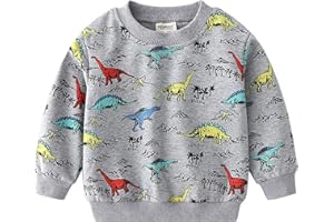 NautySaurs Boys Toddlers Dinosaurs Sweatshirts Long Sleeve Shirt Kids Pullover Tops