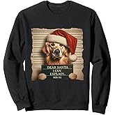 Golden Retriever Dogs Christmas Dear Santa I Can Explain Sweatshirt