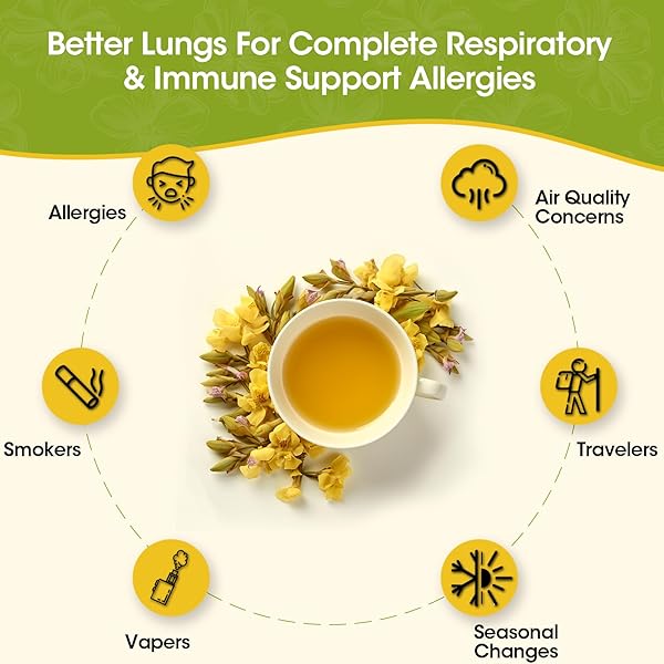 MULLEIN LEAF TEA – RESPIRATORY AND LUNG CLEANSE HERBAL TEA, CAFFEINE FREE, 30 TEA BAGS
