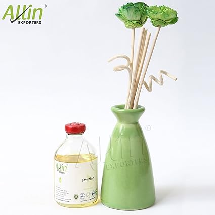 Allin Exporters Reed Diffuser with Ceramic Pot Combo Pack (Green)