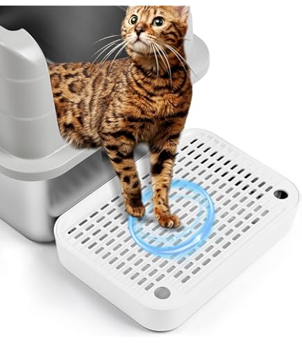 Bartuke Tapis De Rampe Pour Bac à Litière De Chat Avec Fonction De Filtrage, Marche Pour