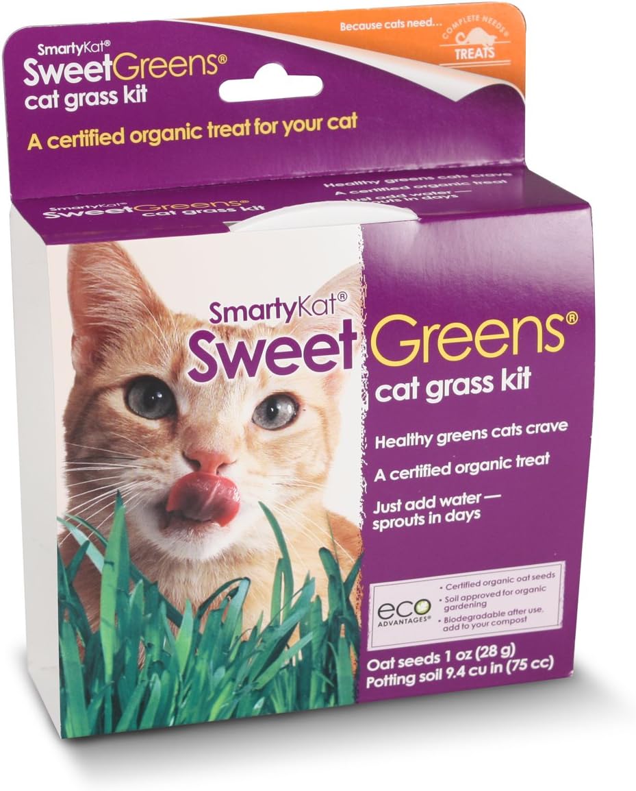 SmartyKat Sweet Greens Cat Grass Grow Kit: Pet Supplies