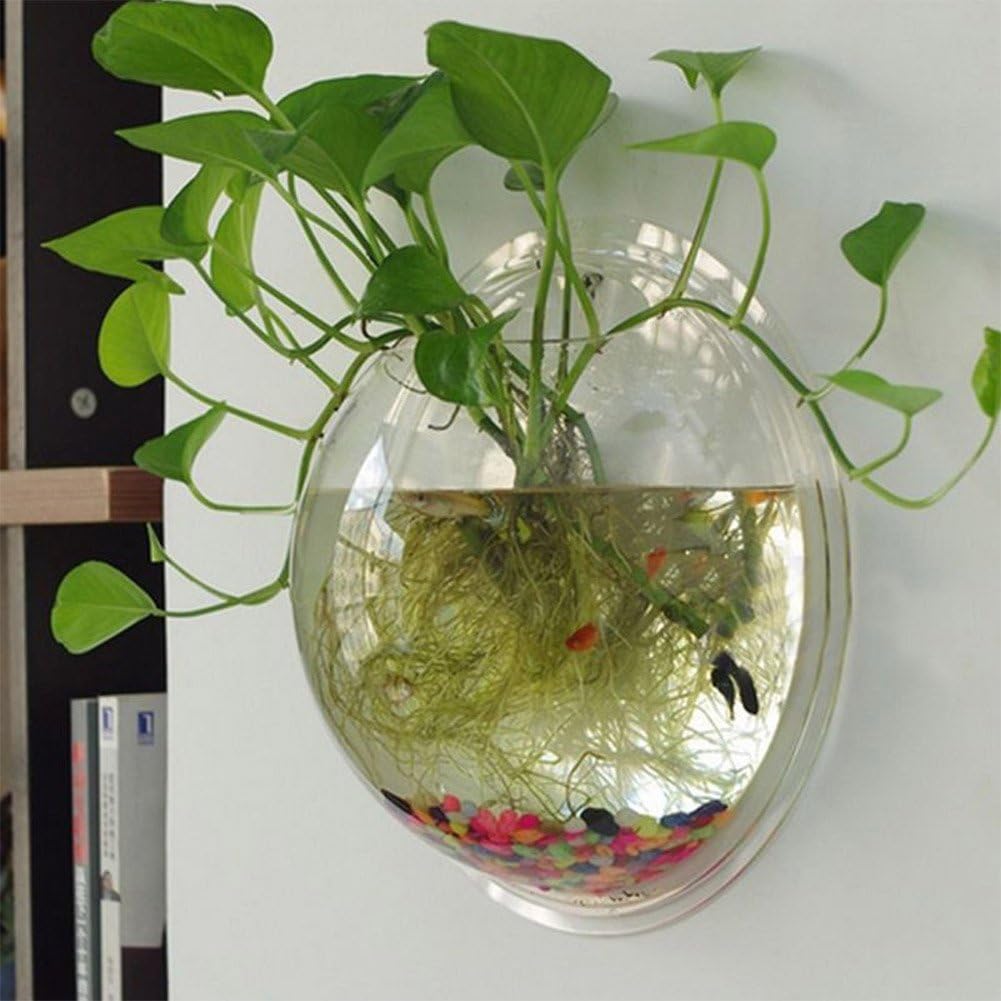 LoVnely Wall Mounted Clear Fish Tank Plant Terrarium Hanging Display Aquarium Vase Decor (Transparent, 9.0 inch)