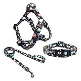 QQPETS Dog Harness Collar Leash - No Pull Pet